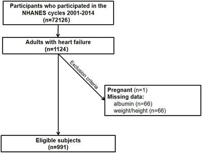 Association between energy intake patterns and outcome in US heart failure patients